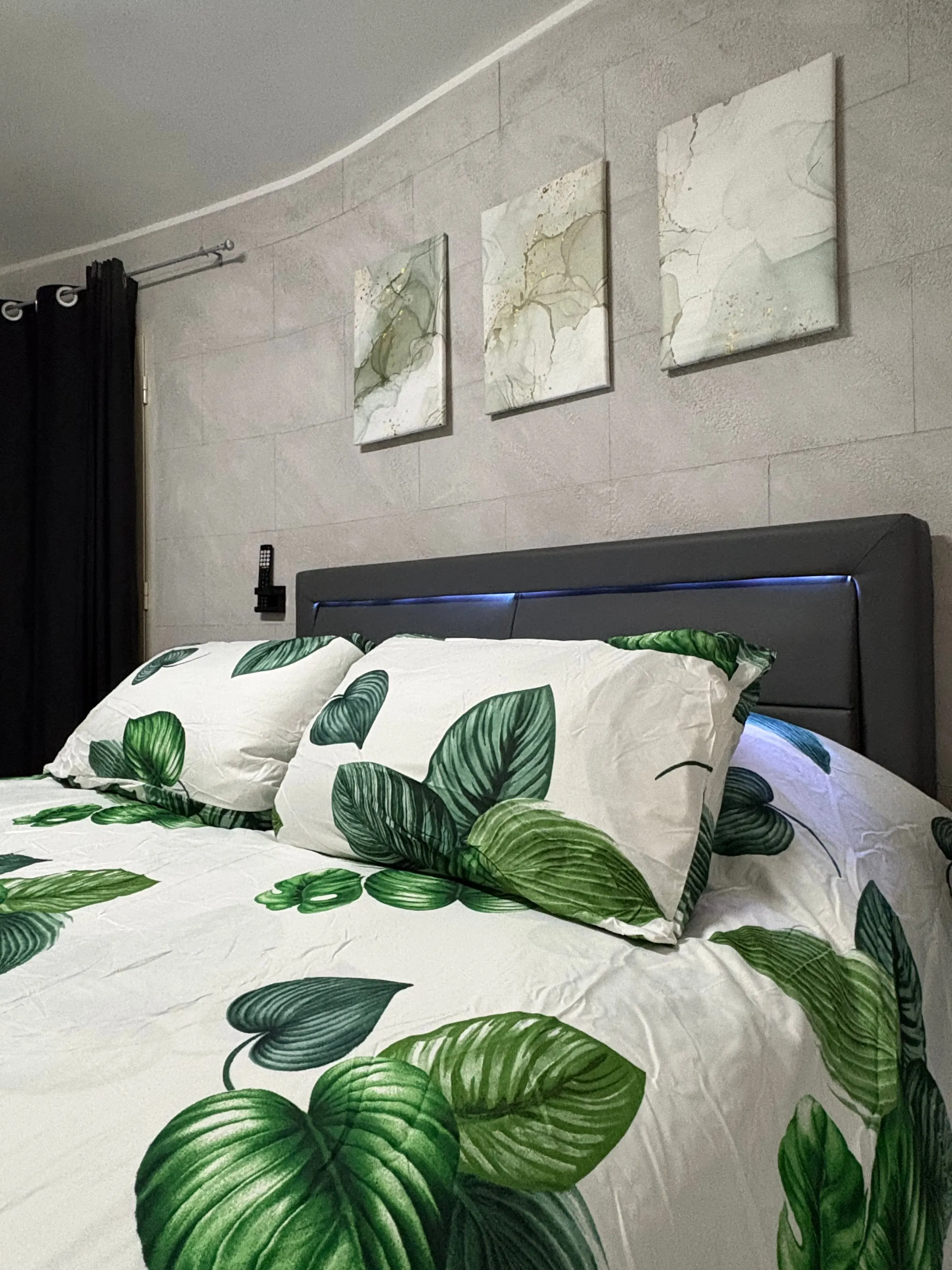 Letto matrimoniale con cuscini e quadri botanici sulla parete