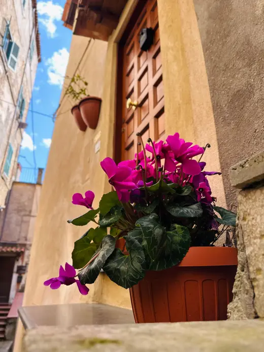 Dettaglio dell’ingresso con un vaso di ciclamini davanti alla porta