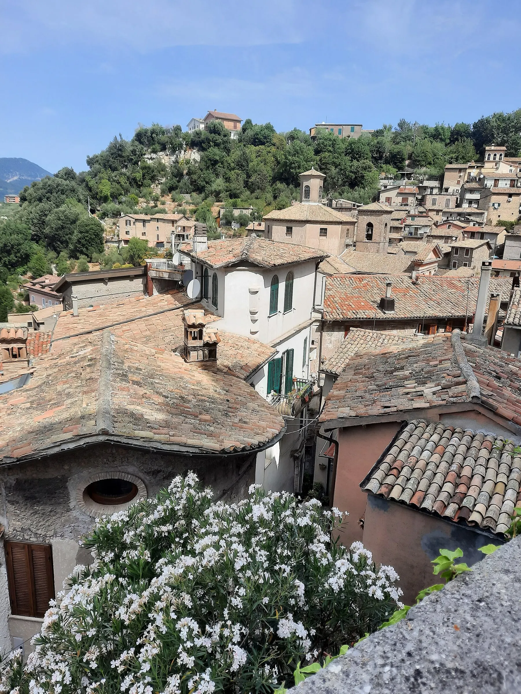 The rooftops of the historic centre of Subiaco